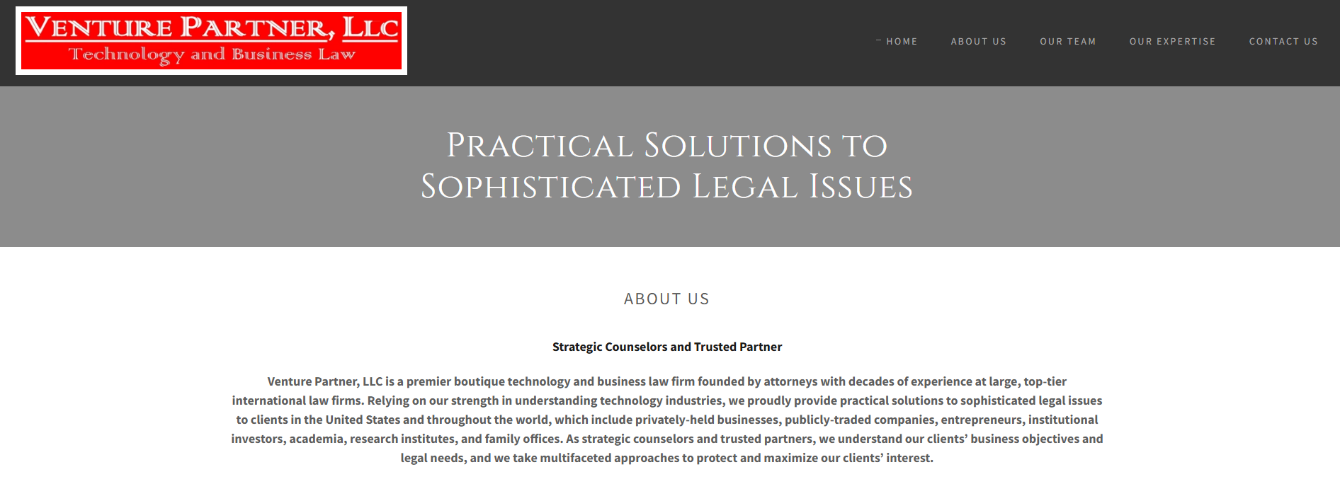 Venture Partner